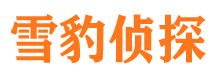 双城外遇调查取证